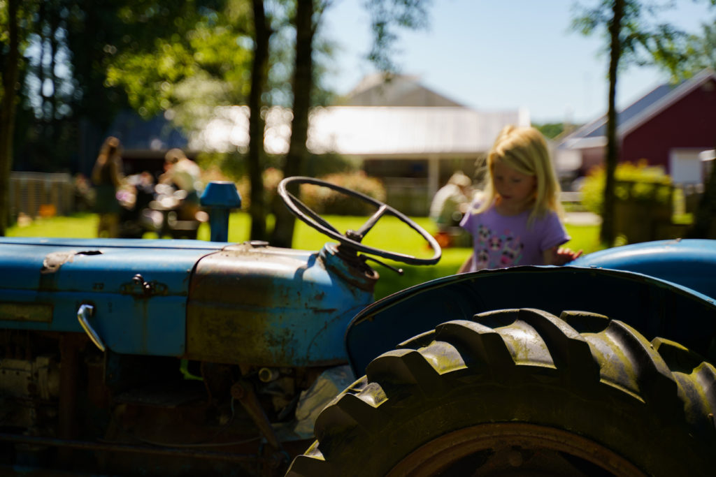 Traktoren Blåtass. En gammel traktor som barna elsker å leke med. Foto